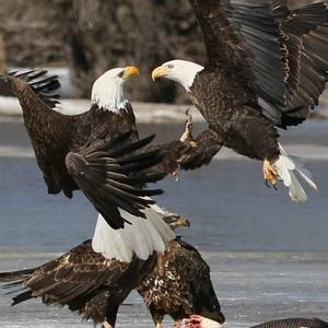 Meet your Posher, Cory